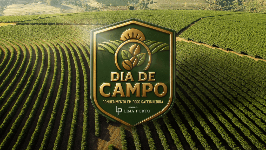 Identidade Visual — Dia de Campo — Grupo Lima Porto