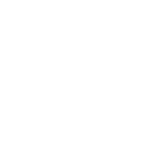 V4 Company